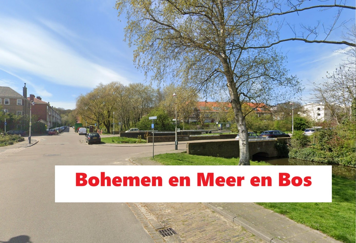wijken in den haag:Bohemen Meer en Bos